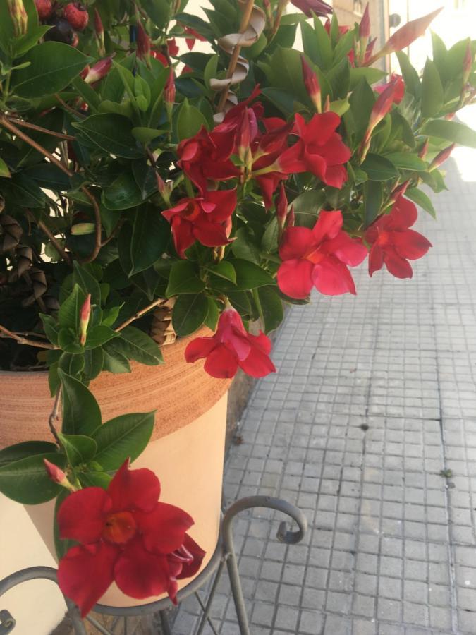Carrer Dels Horts Apartman Alghero Kültér fotó