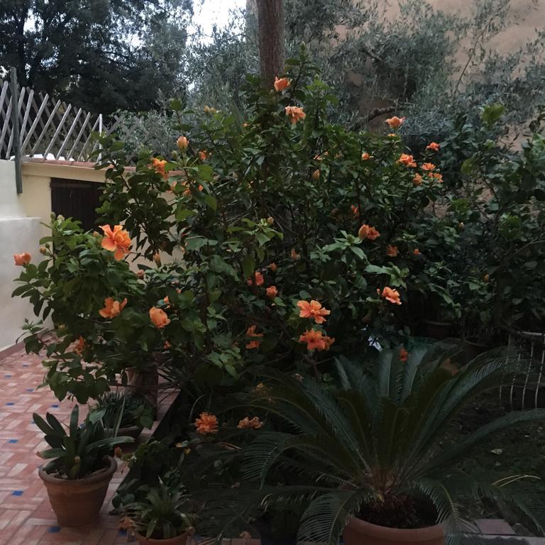 Carrer Dels Horts Apartman Alghero Kültér fotó